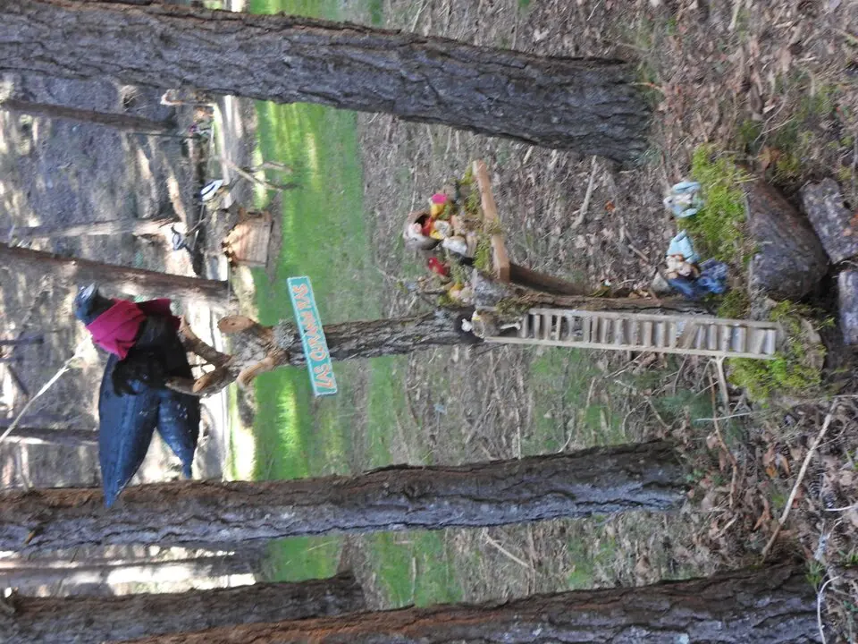 BOSQUE MÁGICO SAN LEONARDO (18)