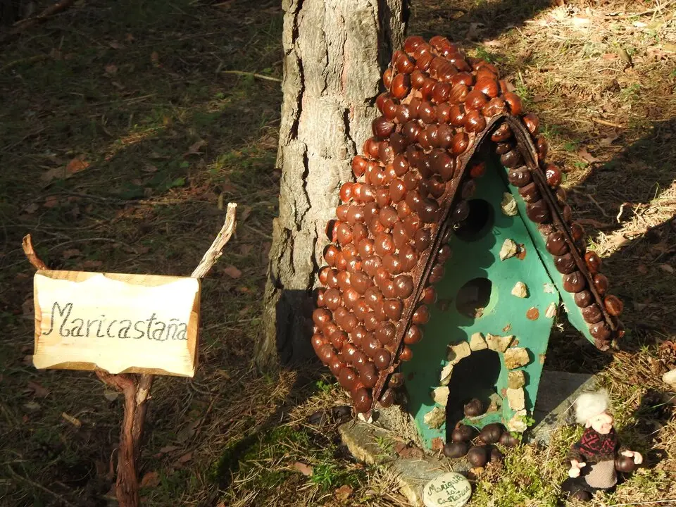 BOSQUE MÁGICO SAN LEONARDO (19)