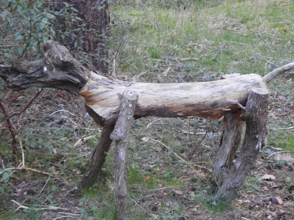 BOSQUE MÁGICO SAN LEONARDO (21)