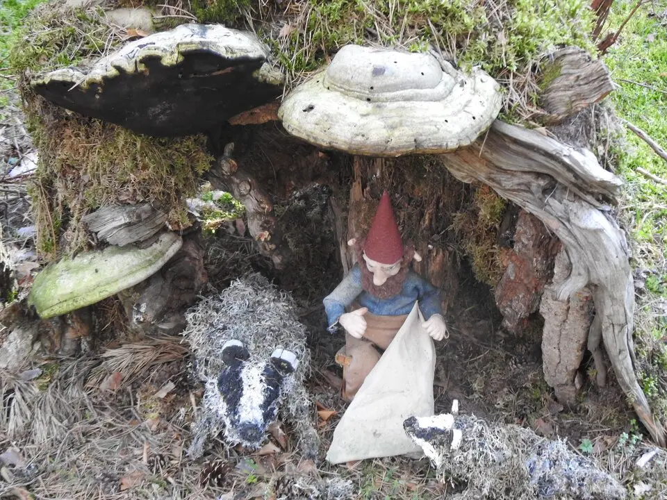 BOSQUE MÁGICO SAN LEONARDO (22)