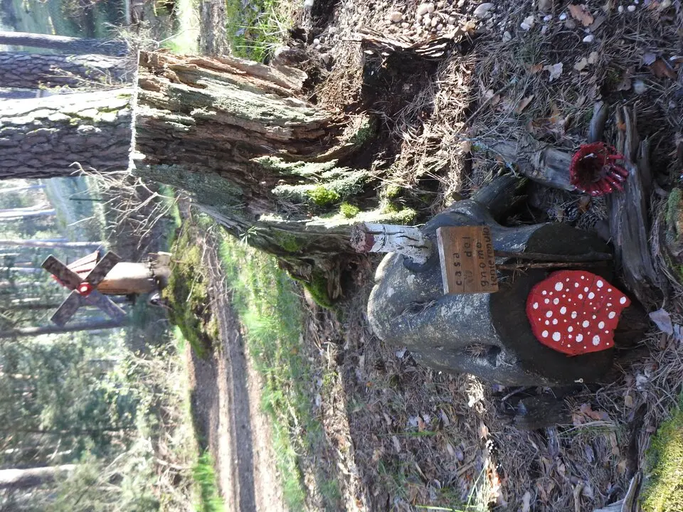 BOSQUE MÁGICO SAN LEONARDO (24)