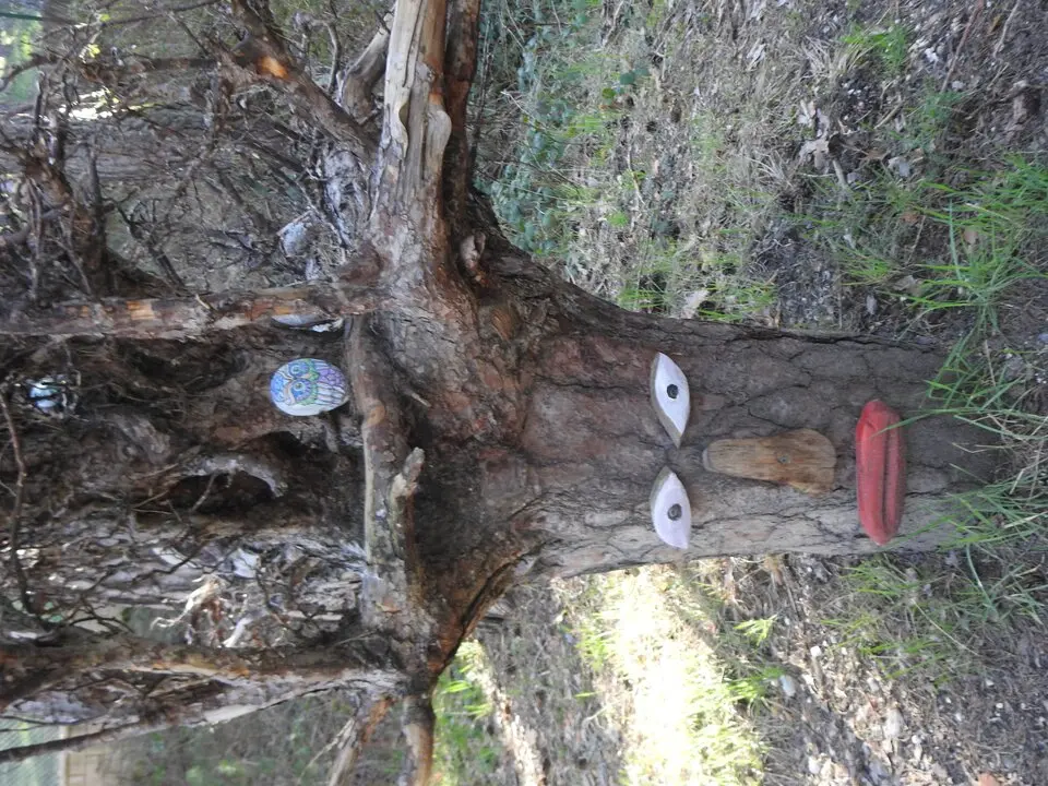 BOSQUE MÁGICO SAN LEONARDO (26)