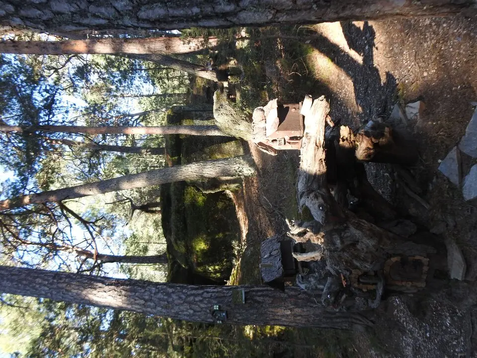 BOSQUE MÁGICO SAN LEONARDO (28)