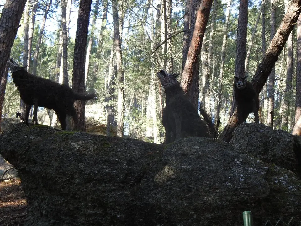 BOSQUE MÁGICO SAN LEONARDO (32)