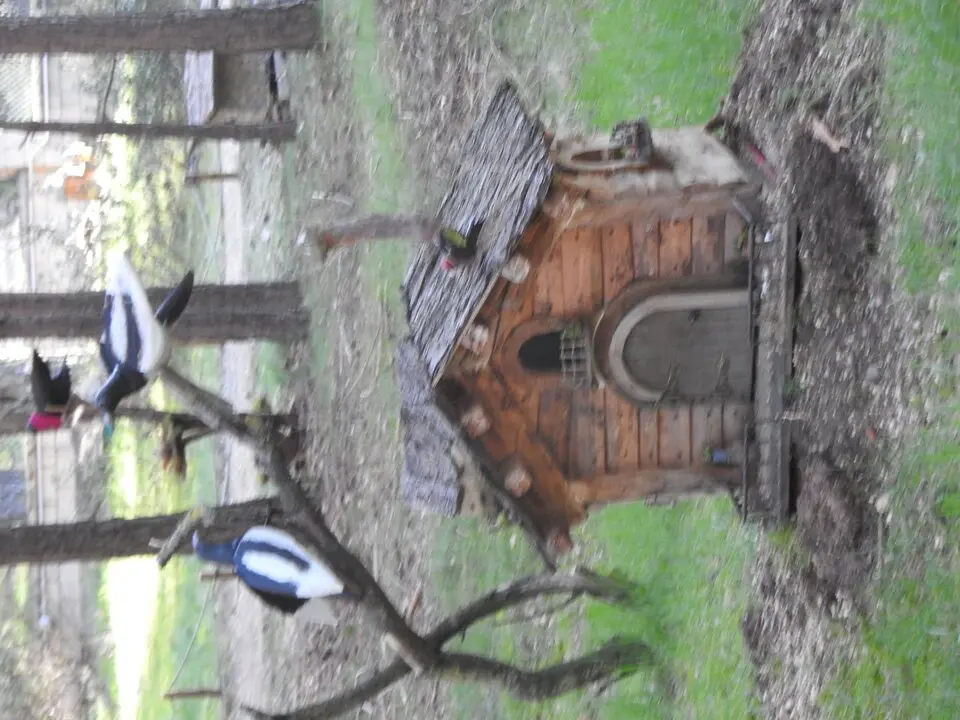 BOSQUE MÁGICO SAN LEONARDO (35)