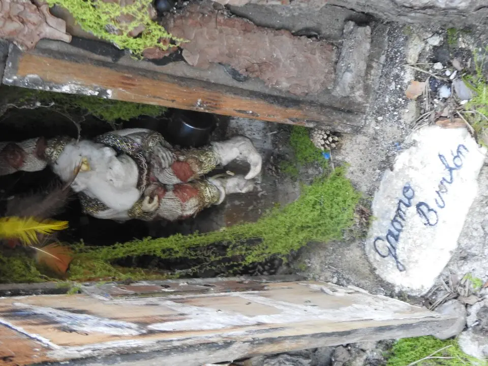 BOSQUE MÁGICO SAN LEONARDO (38)