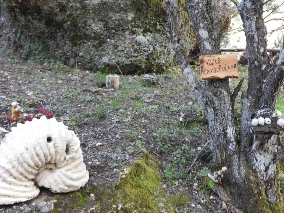 BOSQUE MÁGICO SAN LEONARDO (42)