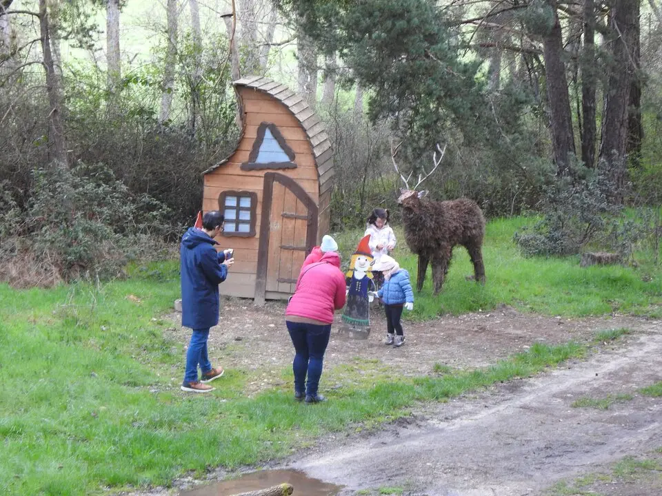 BOSQUE MÁGICO SAN LEONARDO (43)
