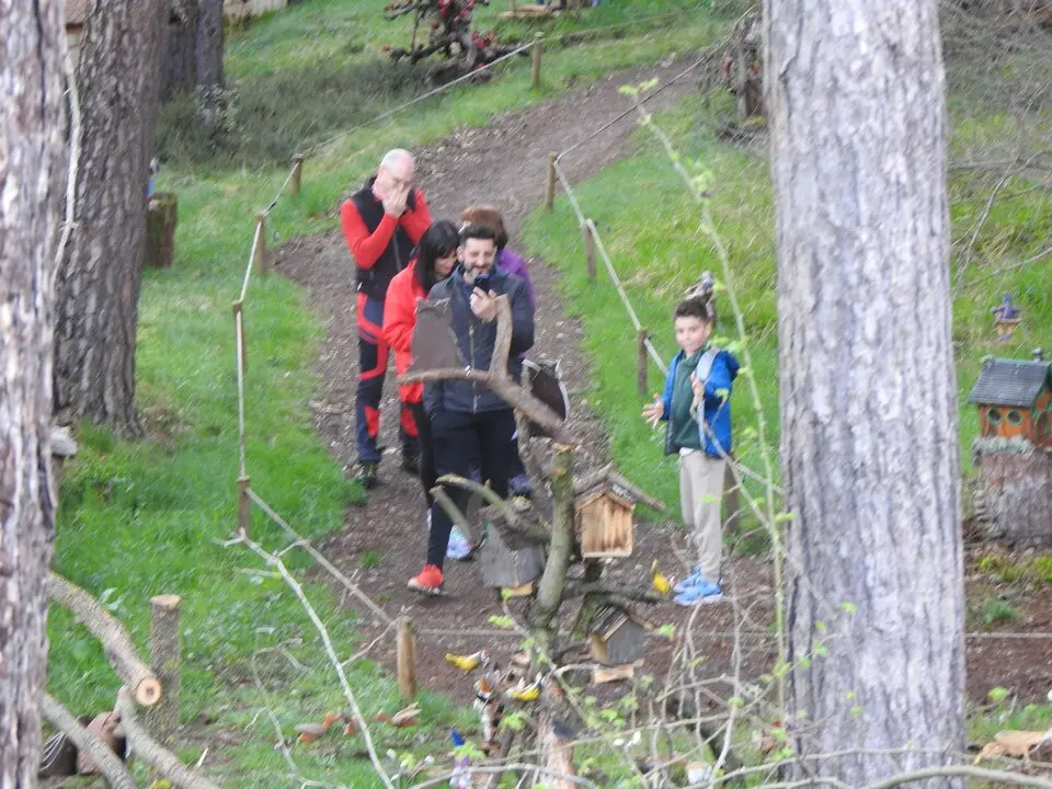 BOSQUE MÁGICO SAN LEONARDO (45)