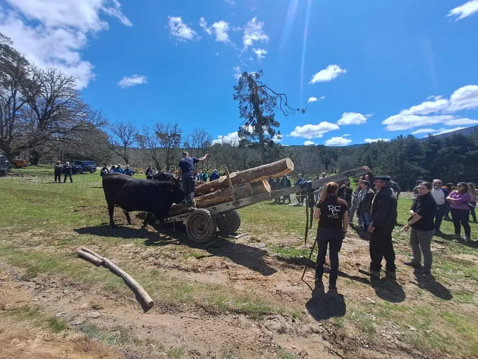 CARRETEROS EN REVENGA (1)