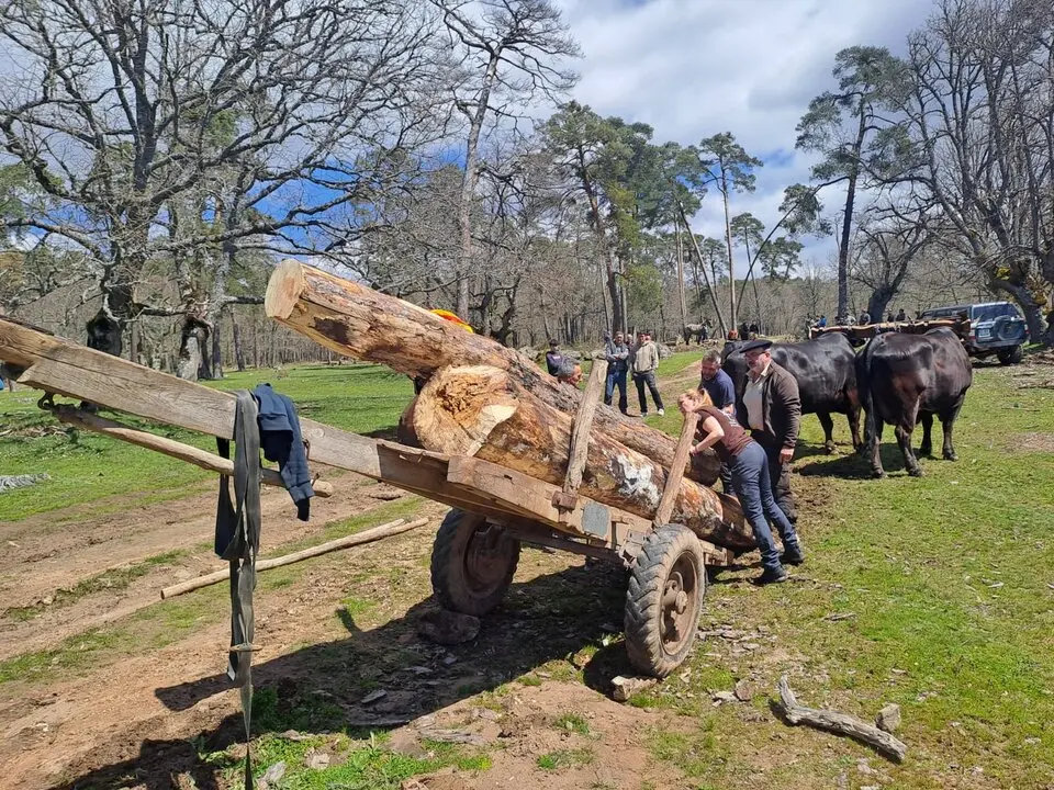 CARRETEROS EN REVENGA (2)