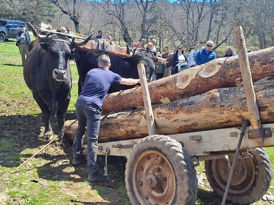 CARRETEROS EN REVENGA (7)