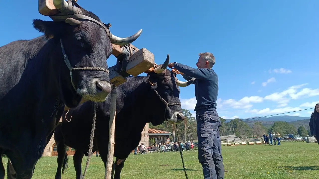 CARRETEROS EN REVENGA (9)