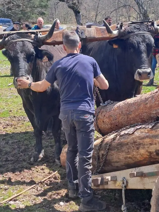 CARRETEROS EN REVENGA (11)