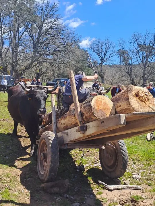 CARRETEROS EN REVENGA (13)