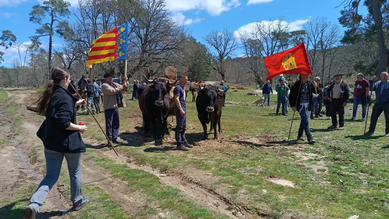 CARRETEROS EN REVENGA (14)
