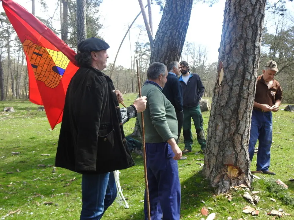 CARRETEROS EN REVENGA (29)
