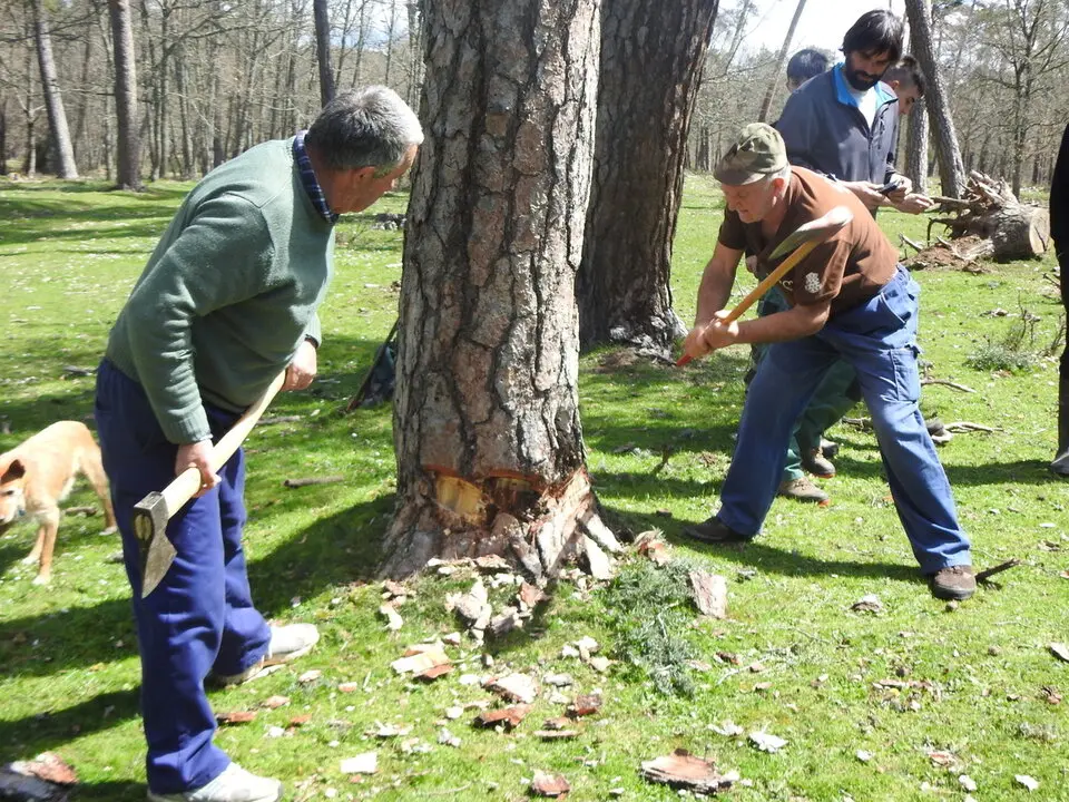 CARRETEROS EN REVENGA (31)