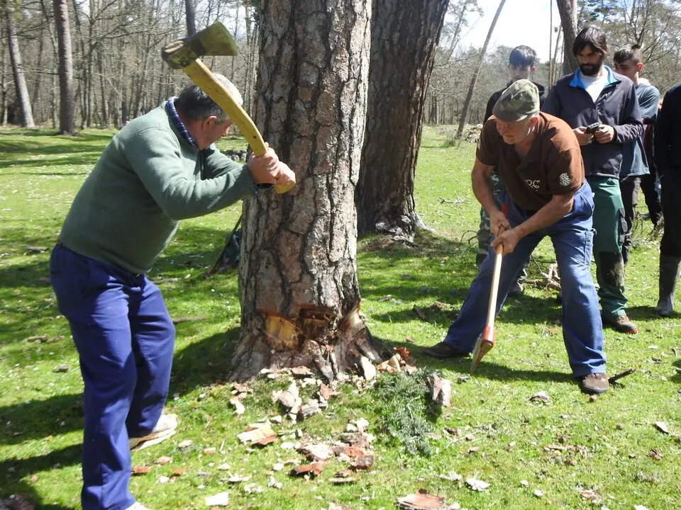 CARRETEROS EN REVENGA (32)