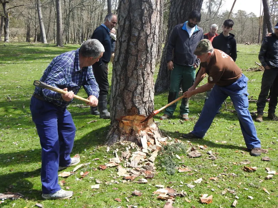 CARRETEROS EN REVENGA (36)