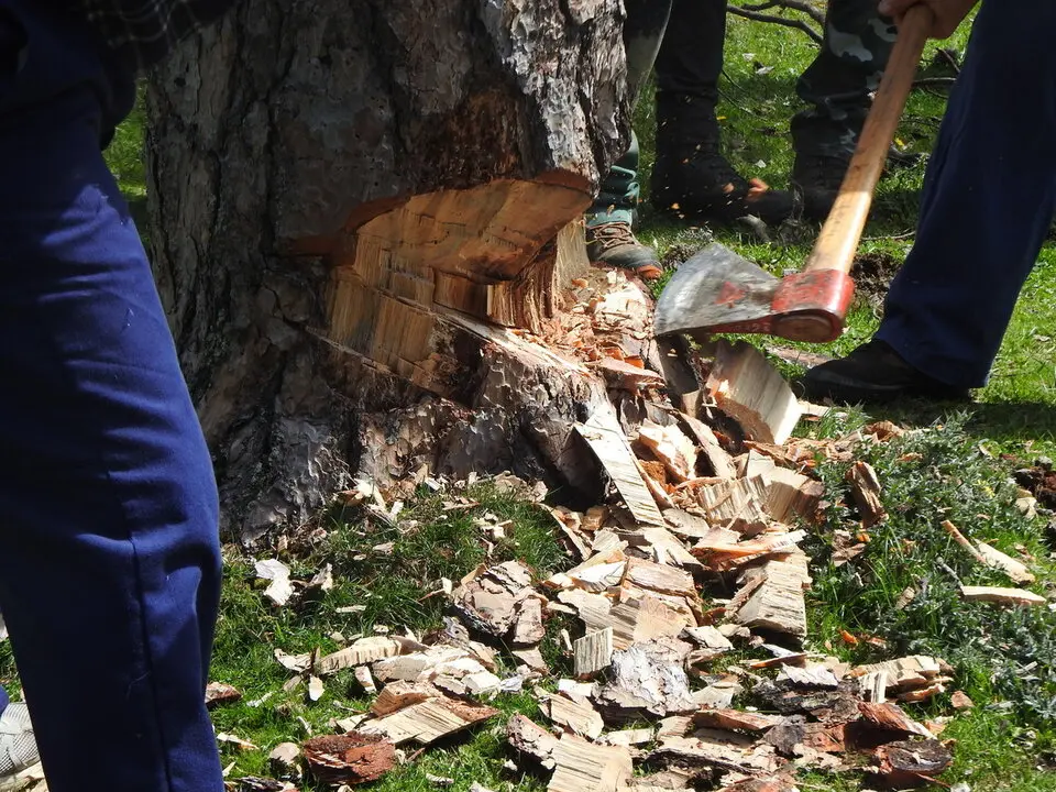 CARRETEROS EN REVENGA (37)