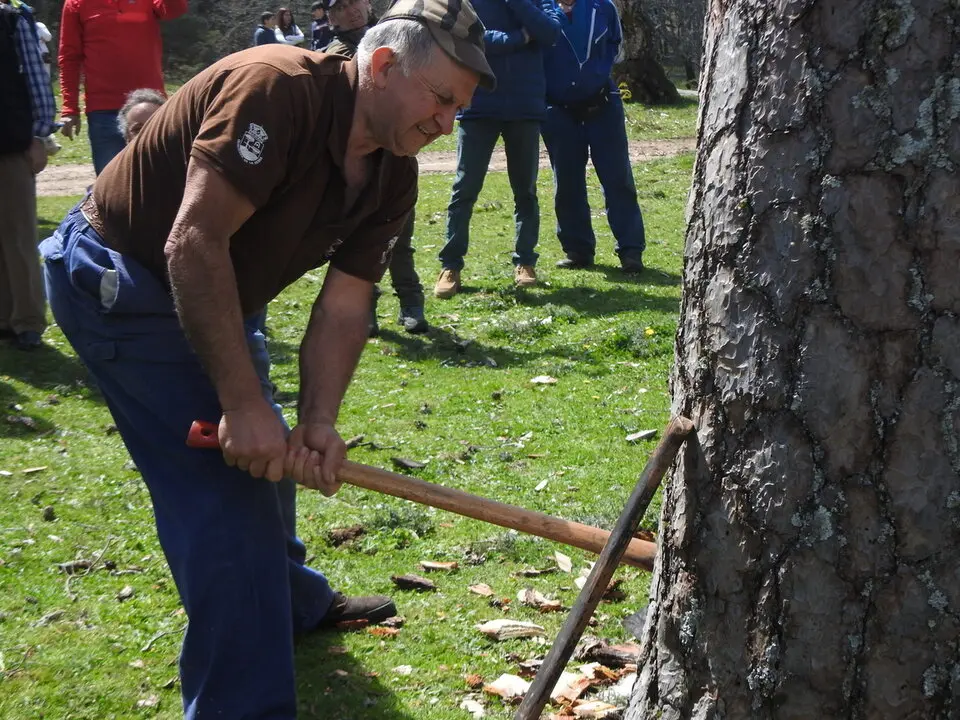 CARRETEROS EN REVENGA (38)