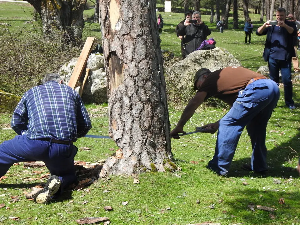 CARRETEROS EN REVENGA (39)