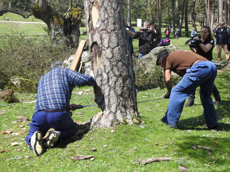 CARRETEROS EN REVENGA (40)