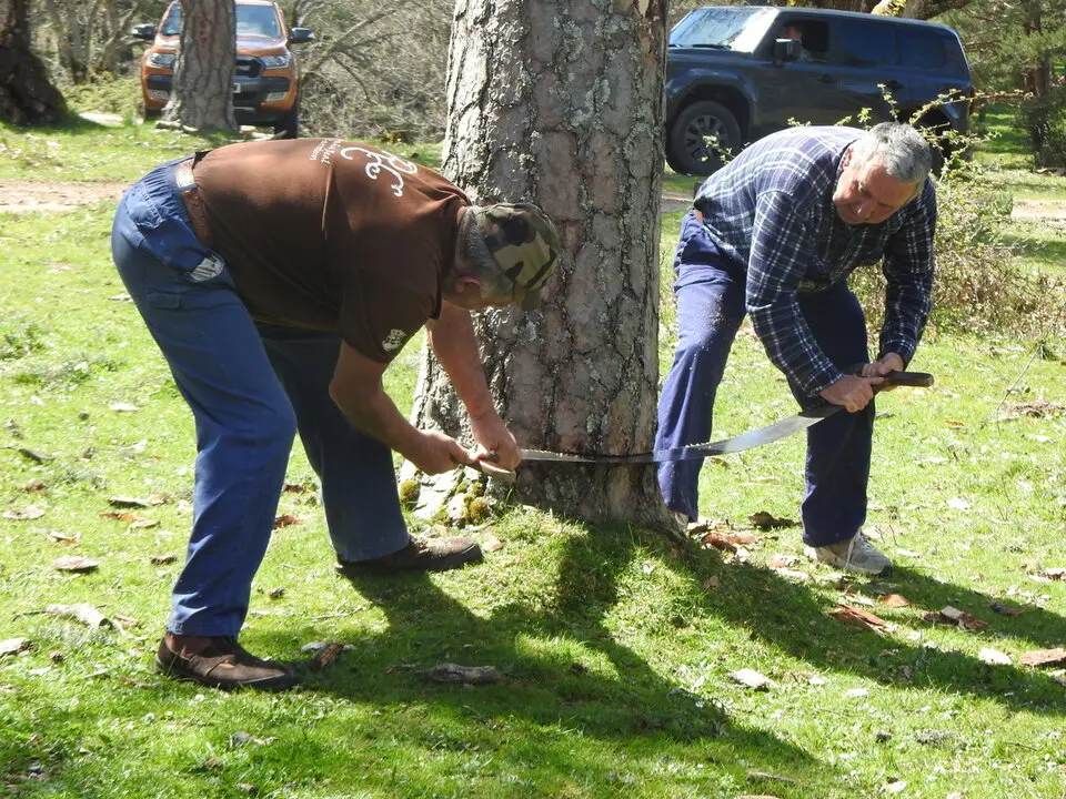 CARRETEROS EN REVENGA (41)