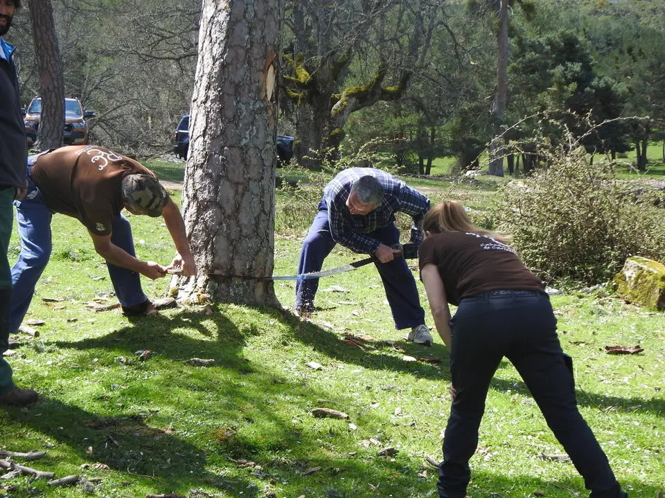 CARRETEROS EN REVENGA (42)
