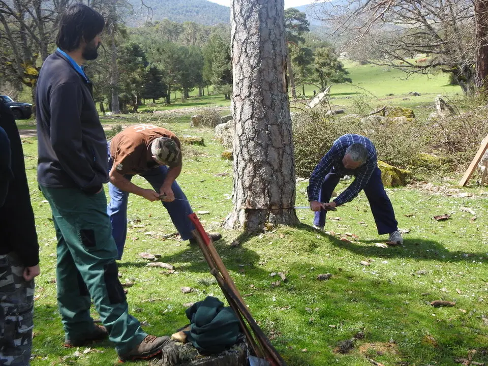 CARRETEROS EN REVENGA (43)