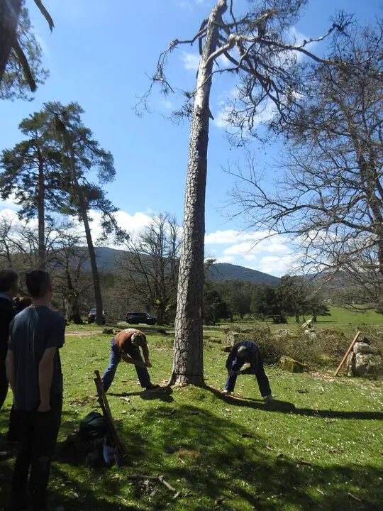 CARRETEROS EN REVENGA (45)