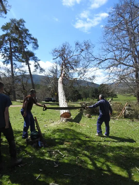 CARRETEROS EN REVENGA (46)