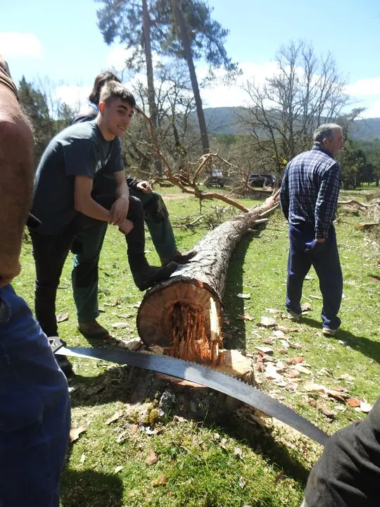 CARRETEROS EN REVENGA (47)