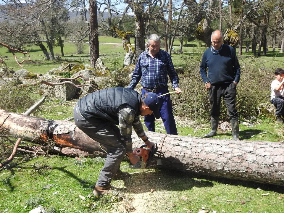 CARRETEROS EN REVENGA (49)