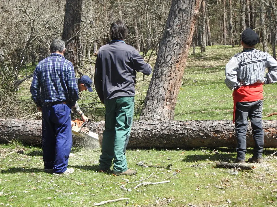 CARRETEROS EN REVENGA (52)