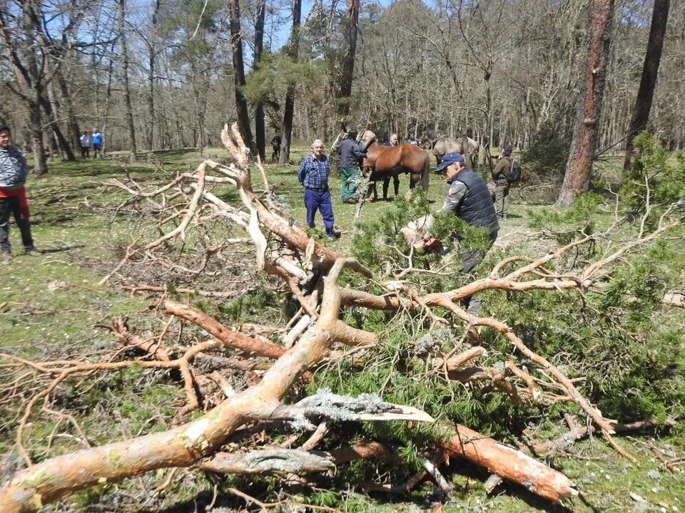 CARRETEROS EN REVENGA (56)