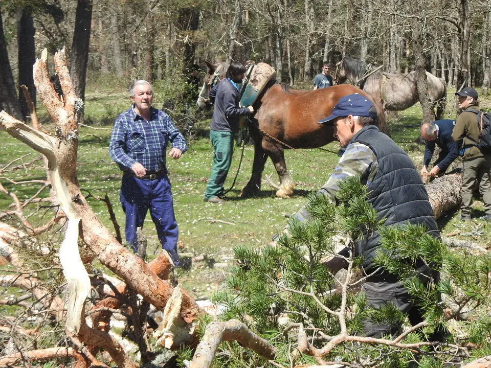 CARRETEROS EN REVENGA (57)