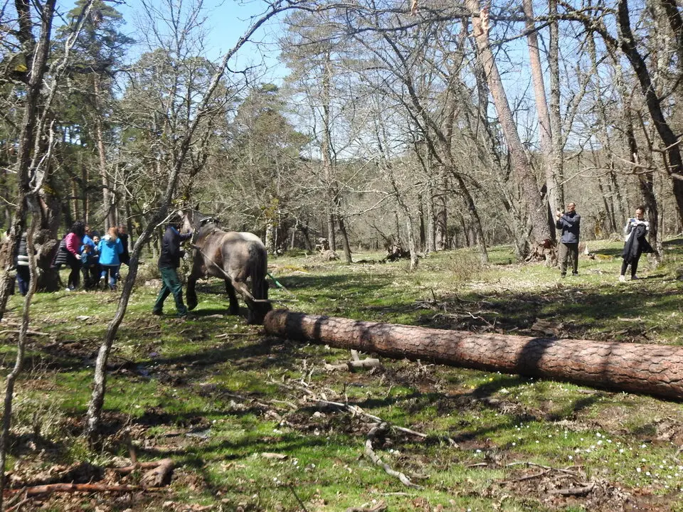 CARRETEROS EN REVENGA (61)
