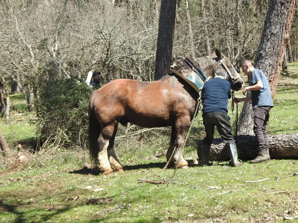 CARRETEROS EN REVENGA (62)