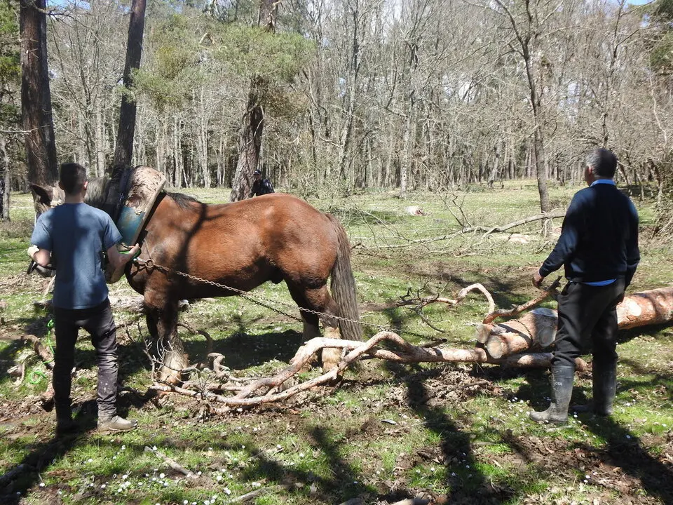 CARRETEROS EN REVENGA (63)