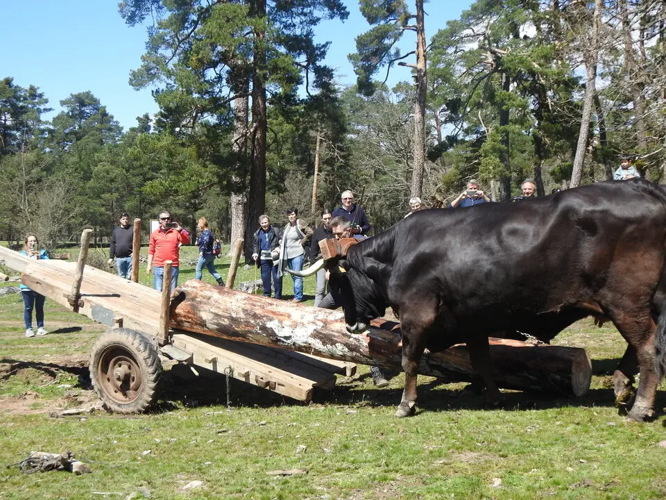 CARRETEROS EN REVENGA (67)