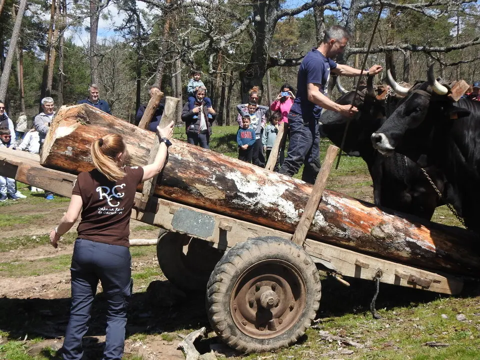 CARRETEROS EN REVENGA (68)