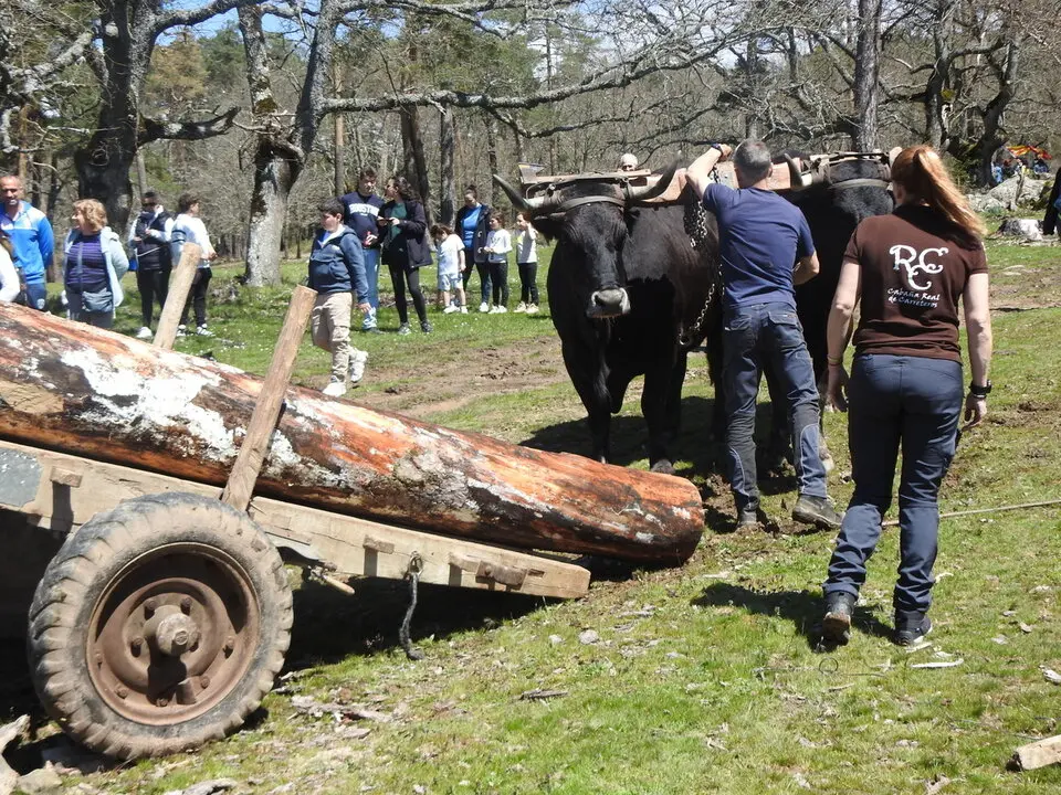 CARRETEROS EN REVENGA (69)