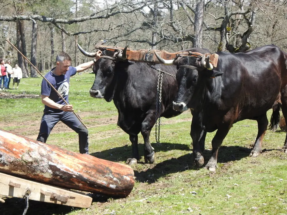 CARRETEROS EN REVENGA (71)