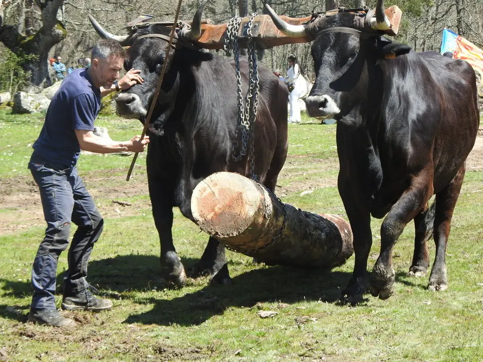 CARRETEROS EN REVENGA (72)