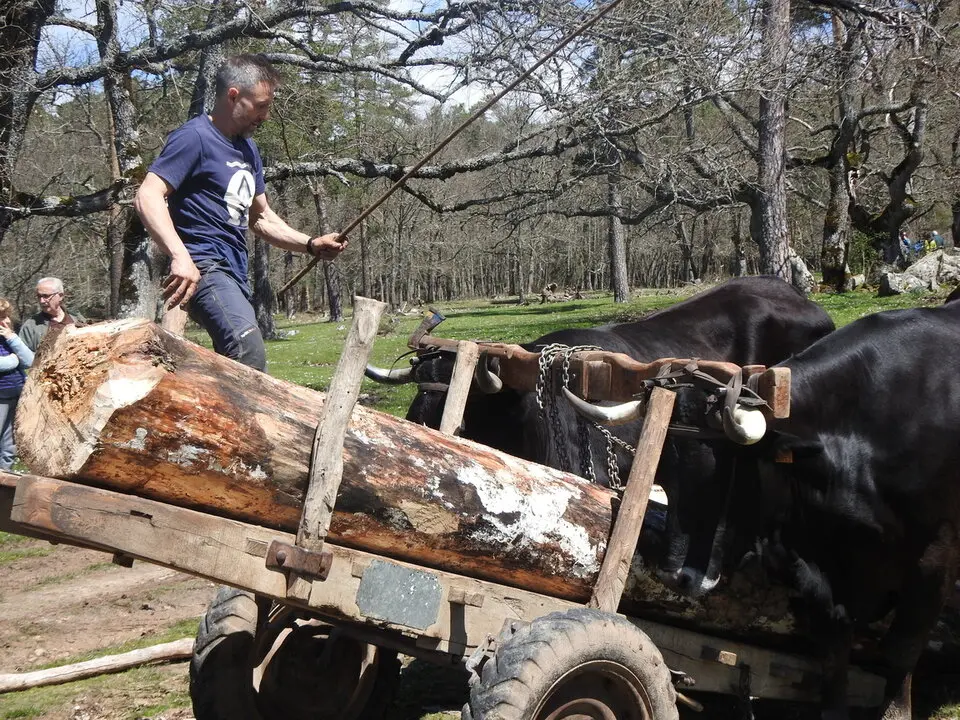 CARRETEROS EN REVENGA (73)