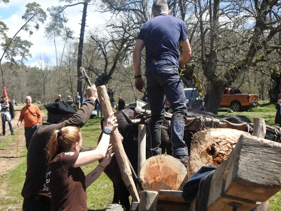 CARRETEROS EN REVENGA (74)