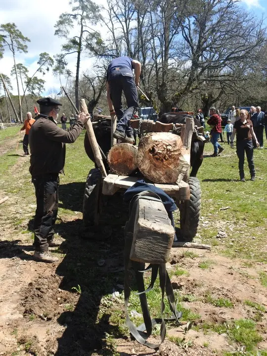 CARRETEROS EN REVENGA (75)