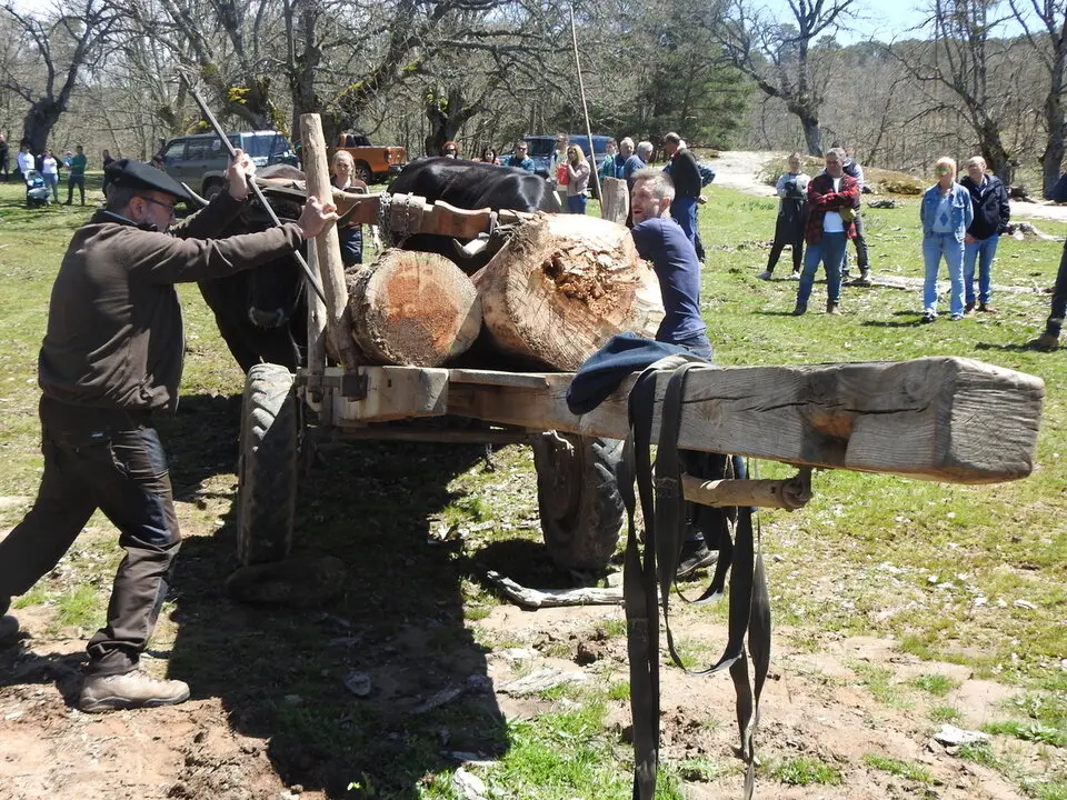 CARRETEROS EN REVENGA (76)